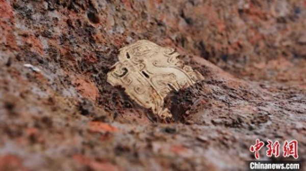 郝雷女明星