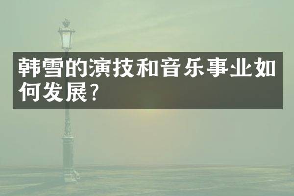 韩雪的演技和音乐事业如何发展？