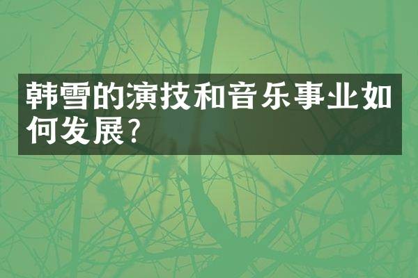 韩雪的演技和音乐事业如何发展？