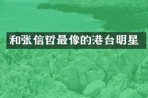 和张信哲最像的港台明星