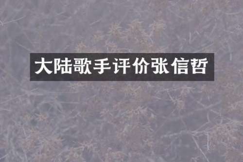 大陆歌手评价张信哲