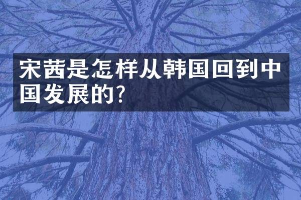 宋茜是怎样从韩国回到中国发展的？