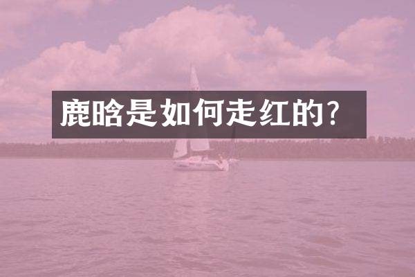 鹿晗是如何走红的？