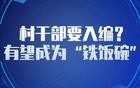 2025年，村干部要入编？有望成为“铁饭碗”！