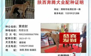 黄喷射X托尼公主 900250000667996.jpg