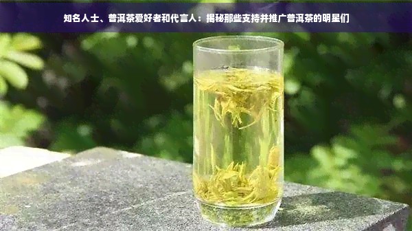 知名人士、普洱茶爱好者和代言人：揭秘那些支持并推广普洱茶的明星们