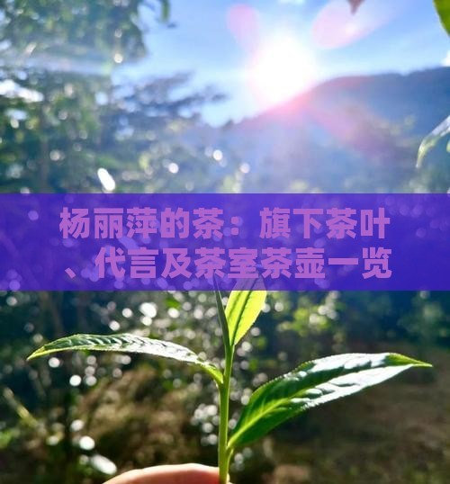 杨丽萍的茶：旗下茶叶、代言及茶室茶壶一览