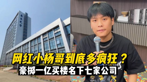 小杨哥有多疯狂？名下关联七家公司，豪掷一亿买楼，明星抢着合作