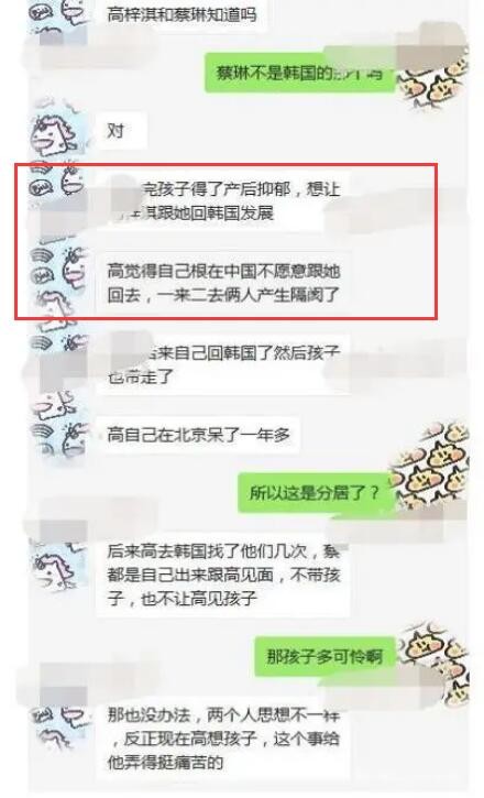 蔡琳高梓淇离婚，业内人曾曝内幕：女方产后抑郁，逼男方回韩遭拒