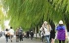 直冲18℃！浙江人注意，熬过今早，大回温就来了