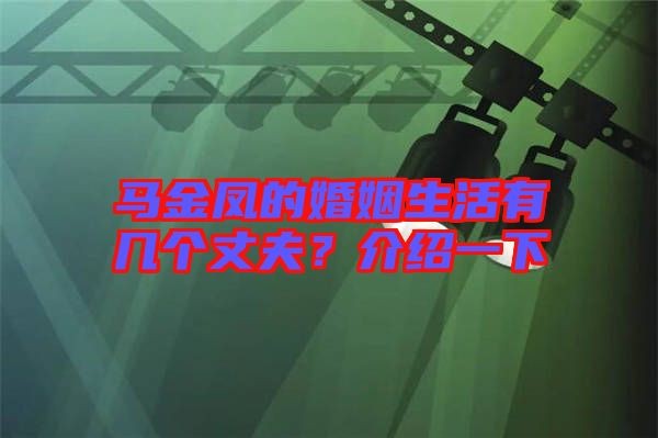 马金凤的婚姻生活有几个丈夫？介绍一下