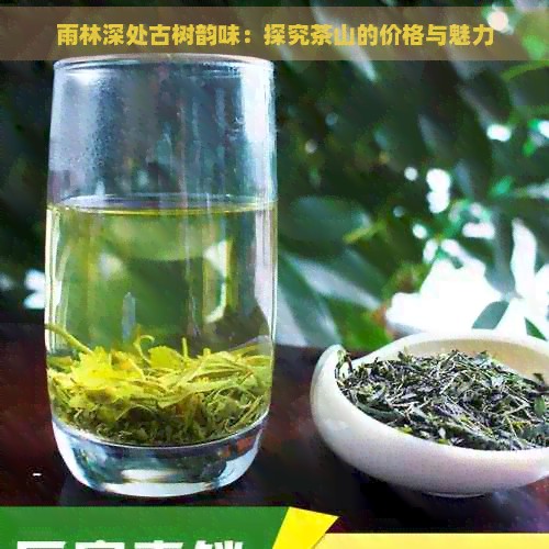 雨林深处古树韵味：探究茶山的价格与魅力