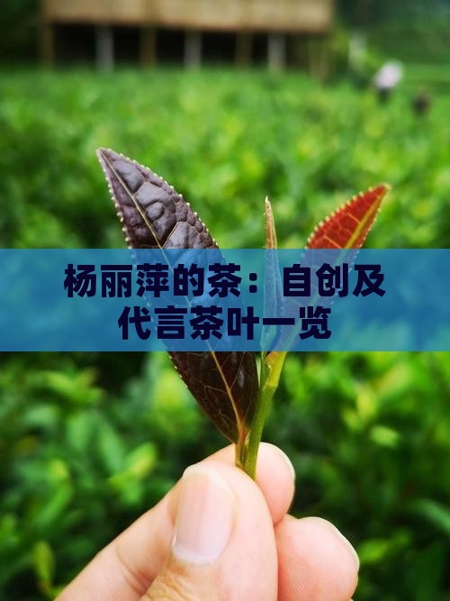 杨丽萍的茶：自创及代言茶叶一览