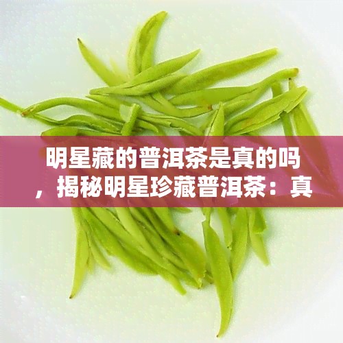 明星藏的普洱茶是真的吗，揭秘明星珍藏普洱茶：真假之谜