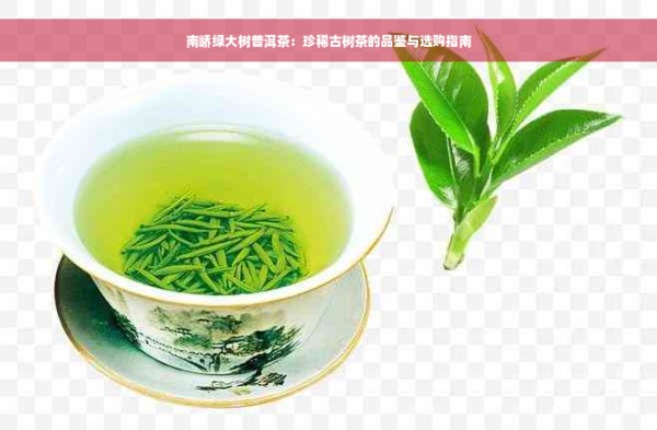 南峤绿大树普洱茶：珍稀古树茶的品鉴与选购指南