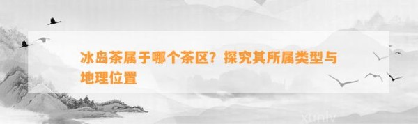 冰岛茶属于哪个茶区？探究其所属类型与地理位置