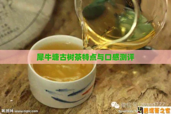 犀牛塘古树茶特点与口感测评