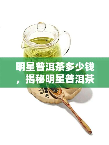 明星普洱茶多少钱，揭秘明星普洱茶价格，你想要的都在这里！