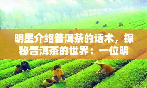 明星介绍普洱茶的话术，探秘普洱茶的世界：一位明星的视角