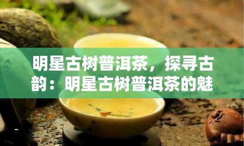 明星古树普洱茶，探寻古韵：明星古树普洱茶的魅力与故事