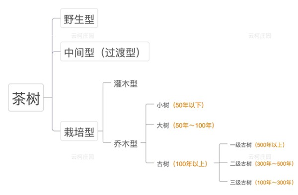 云柯庄园