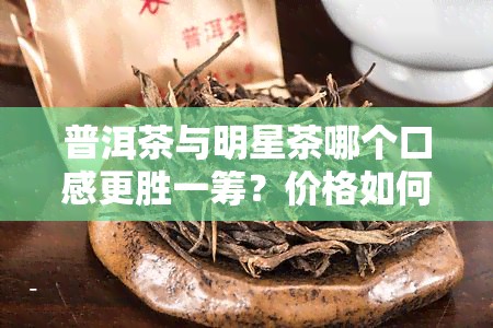 普洱茶与明星茶哪个口感更胜一筹？价格如何？