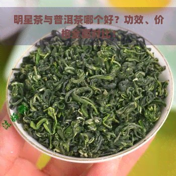 明星茶与普洱茶哪个好？功效、价格全面对比！