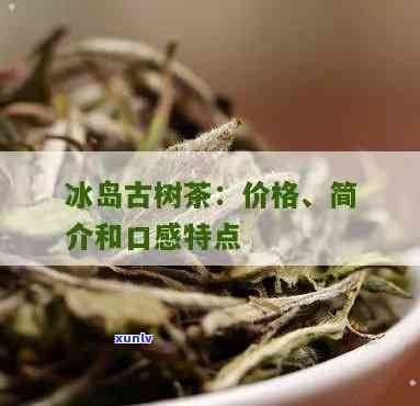 普洱茶明星：了解明星与普洱茶的精彩关联，探究他们背后的故事与影响