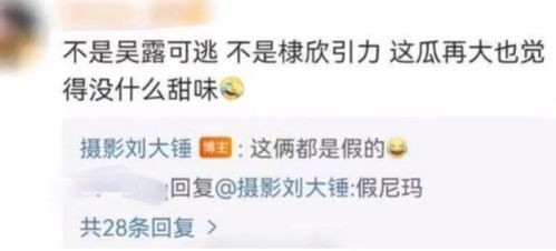 刘大锤曝赵露思事件真相_刘大锤曝赵露思事件真相：娱乐圈的迷雾与真相