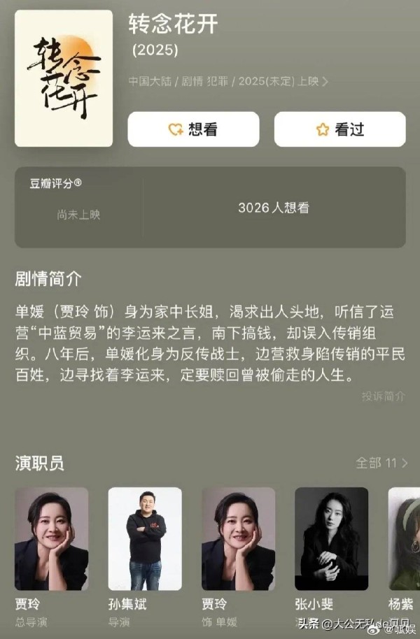 贾玲与王牌家族：“塑料感情”背后的真相