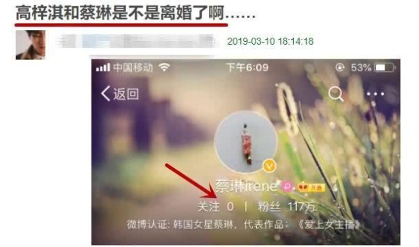 网曝高梓淇蔡琳疑似离婚，女方清空微博回韩工作，尾戒惹的祸？