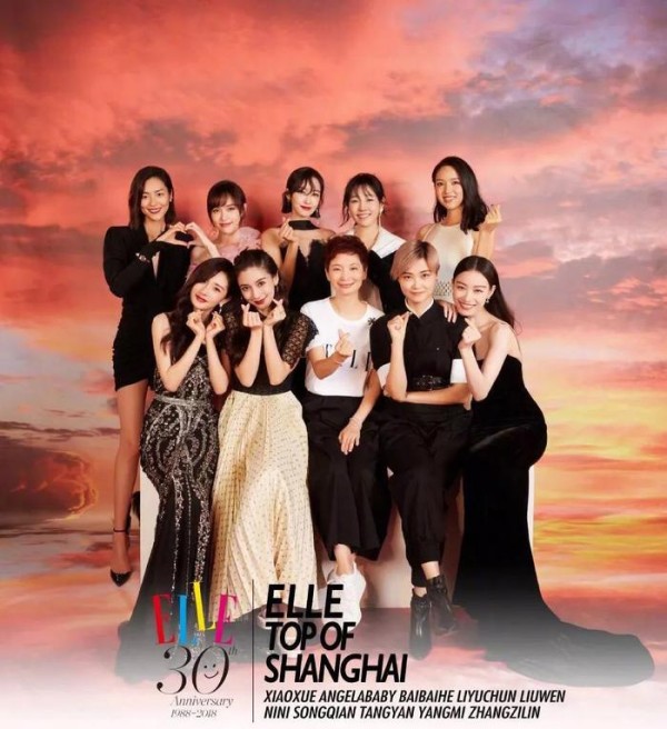 ELLE30周年众女星同台斗艳，刘雯张梓琳靠边站，杨颖却站C位？