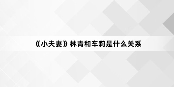 《小夫妻》林青和车莉是什么关系