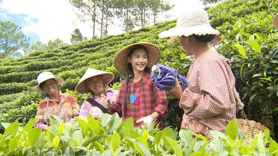 《明星到我家》资料图