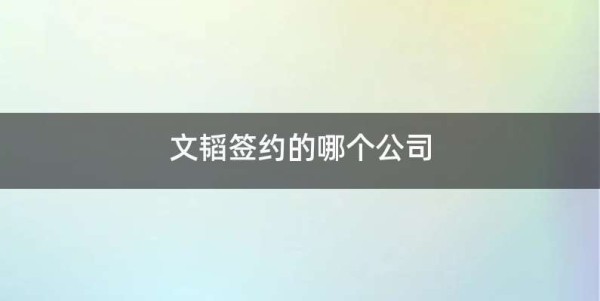 文韬签约的哪个公司