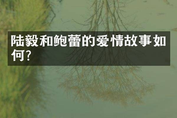 陆毅和鲍蕾的爱情故事如何？