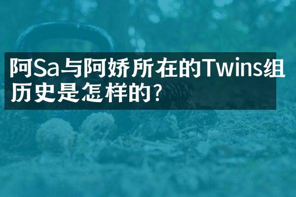 阿Sa与阿娇所在的Twins组合历史是怎样的？