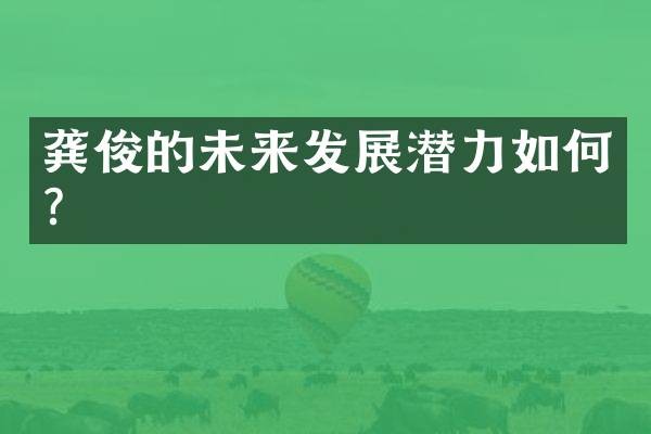 龚俊的未来发展潜力如何？