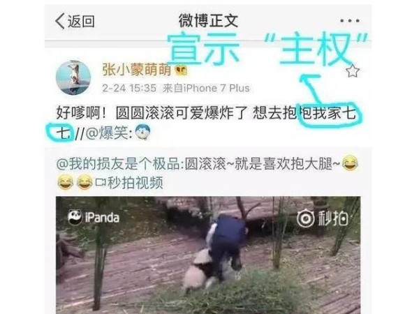 王思聪不爱网红，恋上邻家小妹章若楠？网友：对A要的起吗？