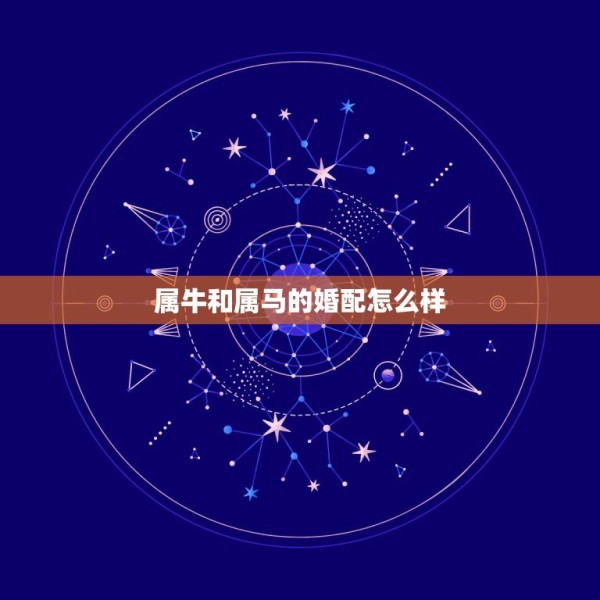 属牛和属马的婚配怎么样，属牛和属马的明星夫妻