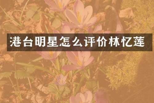 港台明星怎么评价林忆莲