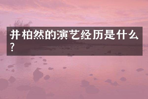 井柏然的演艺经历是什么？