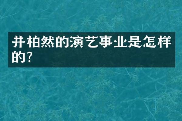 井柏然的演艺事业是怎样的？