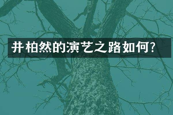 井柏然的演艺之路如何？