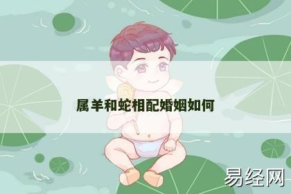 属羊和蛇相配婚姻如何