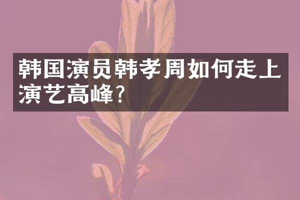 韩国演员韩孝周如何走上演艺高峰？