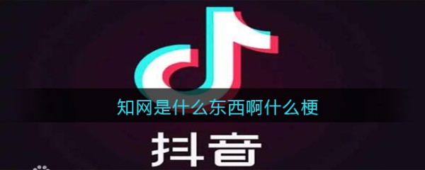 知网是什么东西啊什么梗