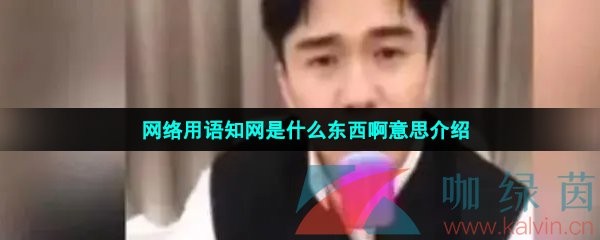 网络用语知网是什么东西啊意思介绍