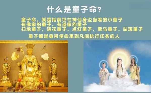 童子命明星命途多舛，天庭到人间的奇幻之旅