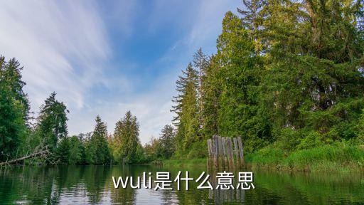 wuli涛涛,wuli 明星名字粉丝爱称